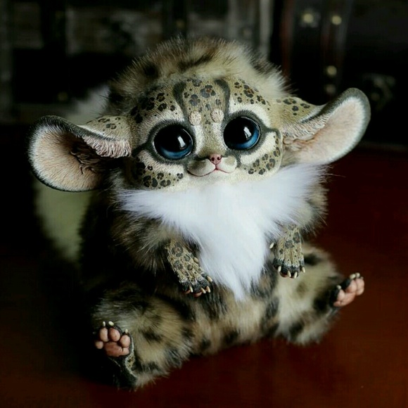 Meet your Posher, Thelma - Picture 1 of 1